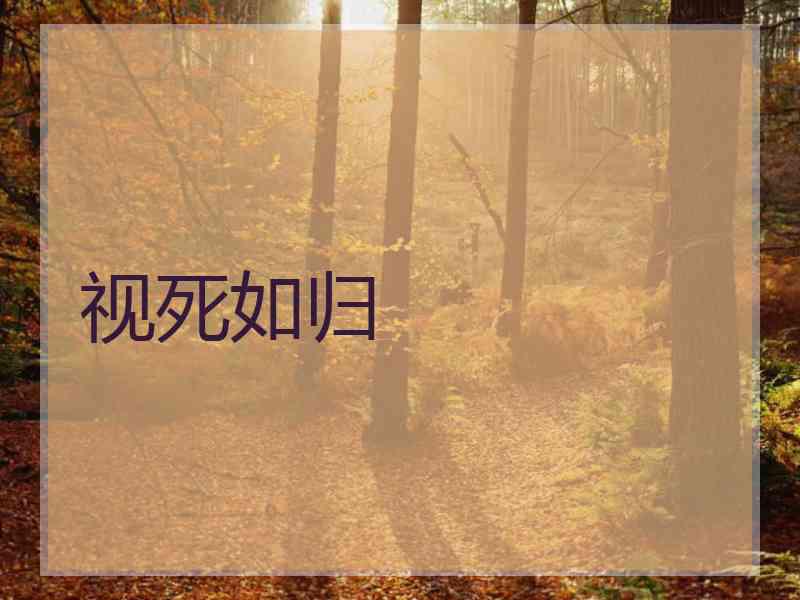 视死如归
