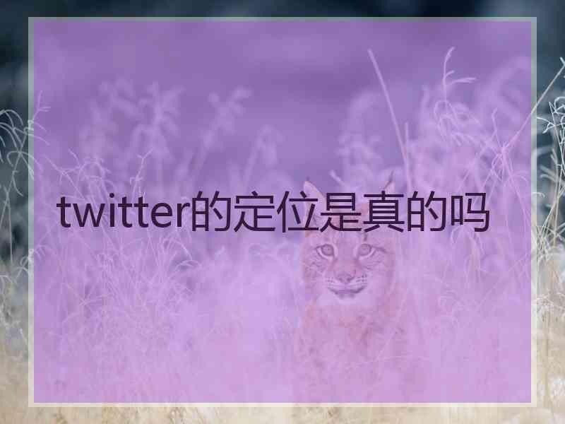 twitter的定位是真的吗