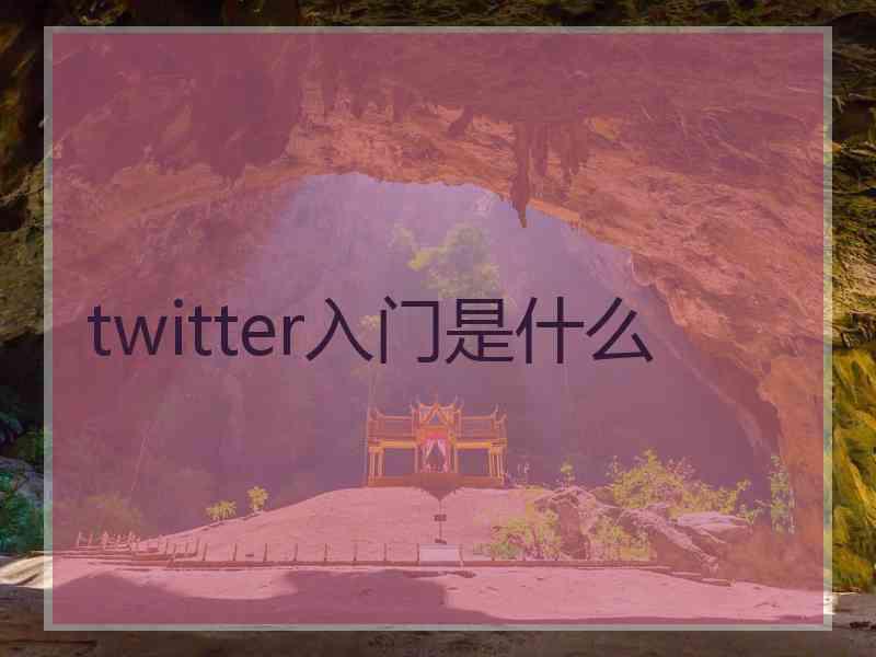 twitter入门是什么