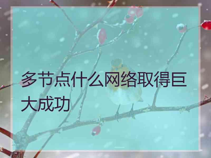 多节点什么网络取得巨大成功