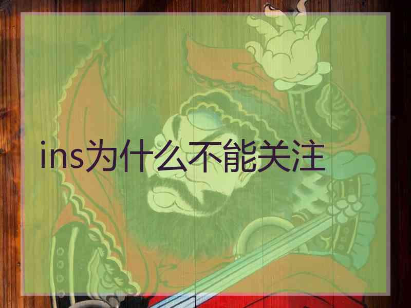 ins为什么不能关注