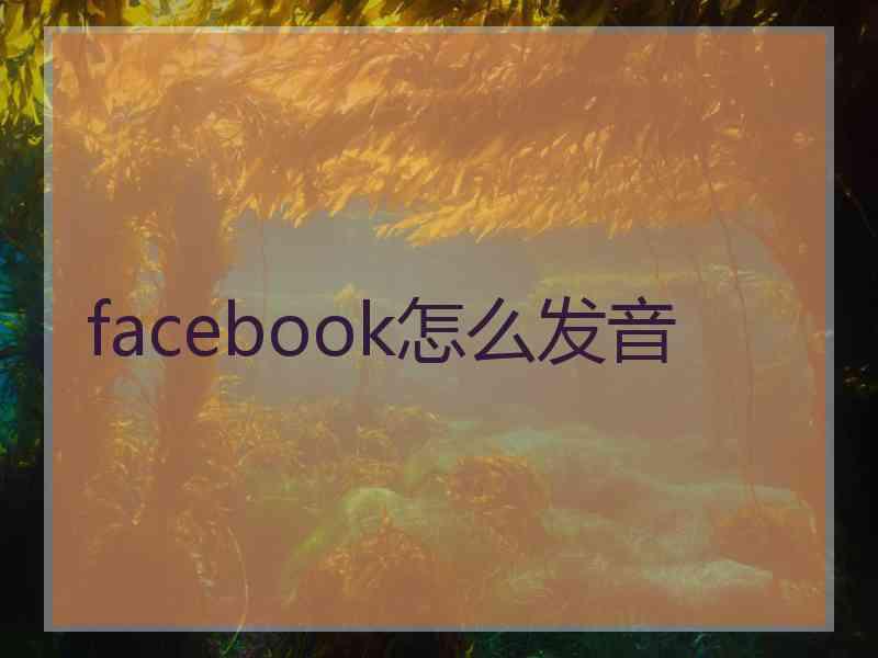 facebook怎么发音