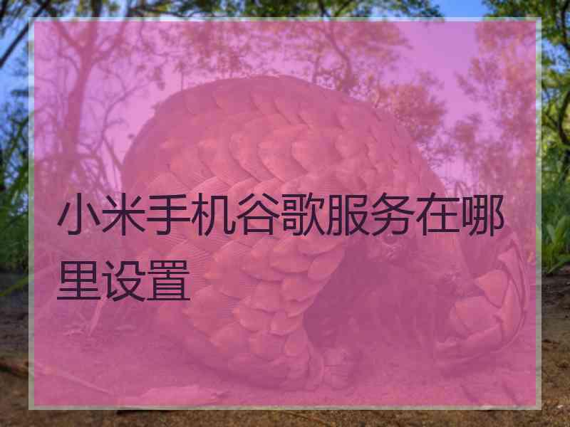 小米手机谷歌服务在哪里设置