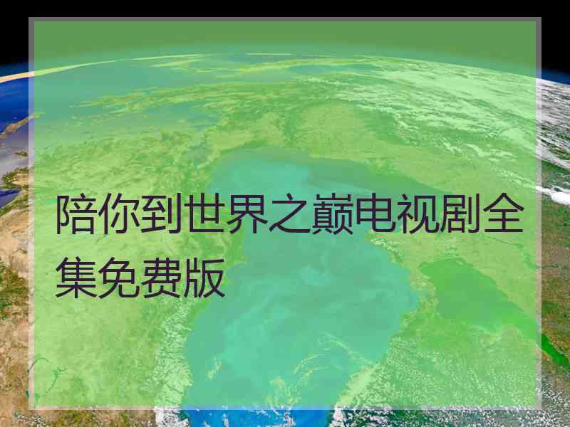 陪你到世界之巅电视剧全集免费版