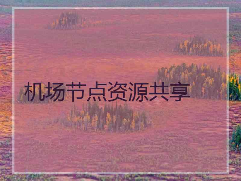 机场节点资源共享