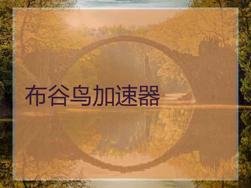 布谷鸟加速器