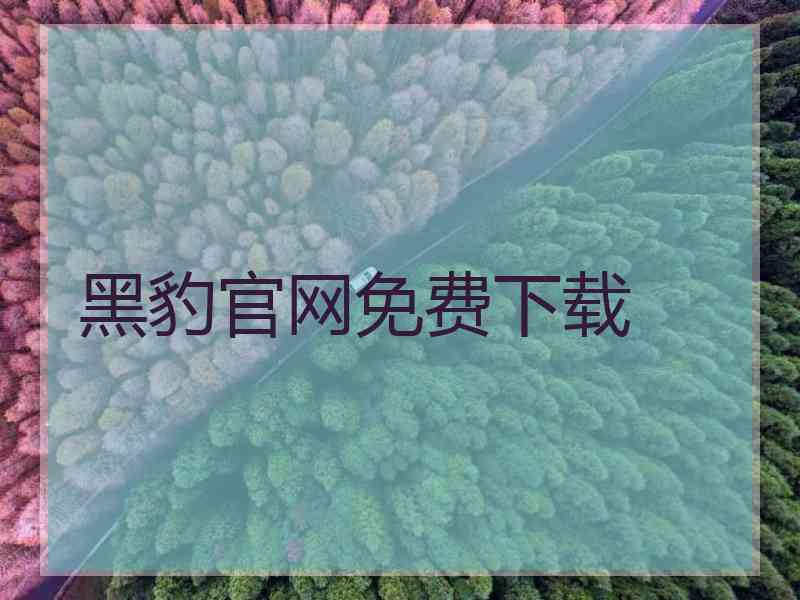 黑豹官网免费下载