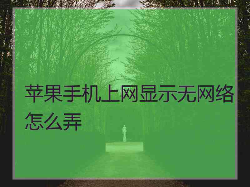 苹果手机上网显示无网络怎么弄