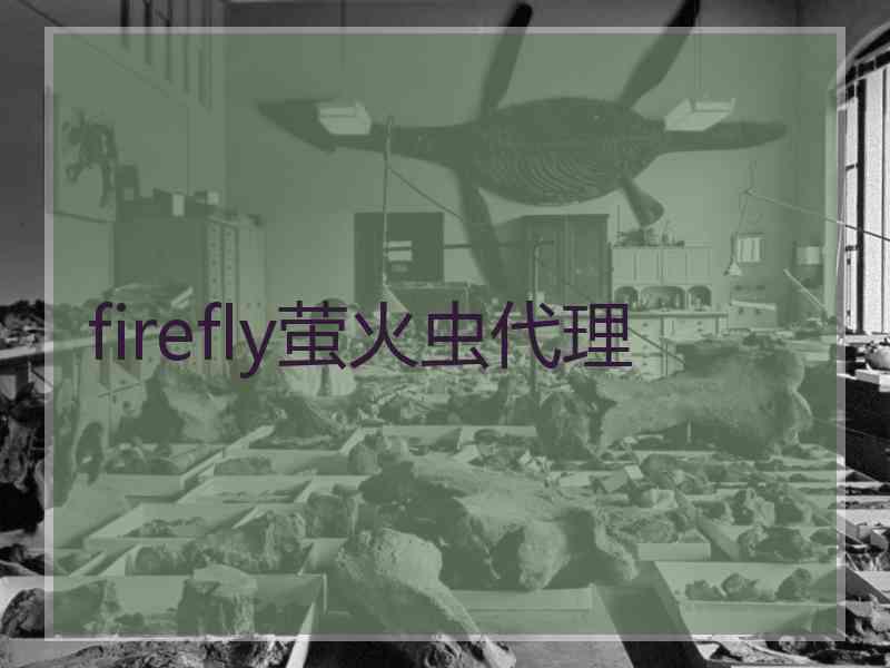 firefly萤火虫代理