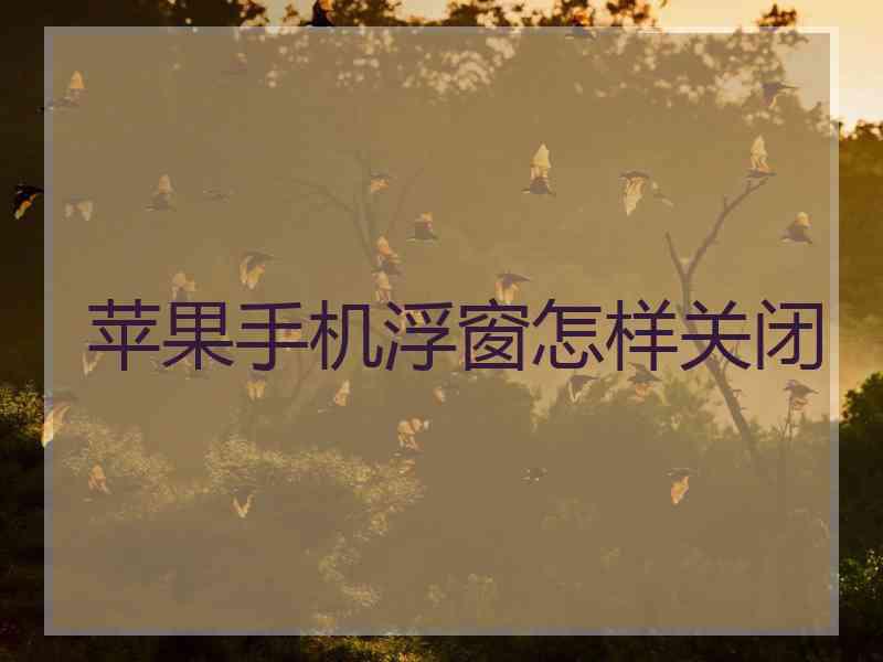 苹果手机浮窗怎样关闭