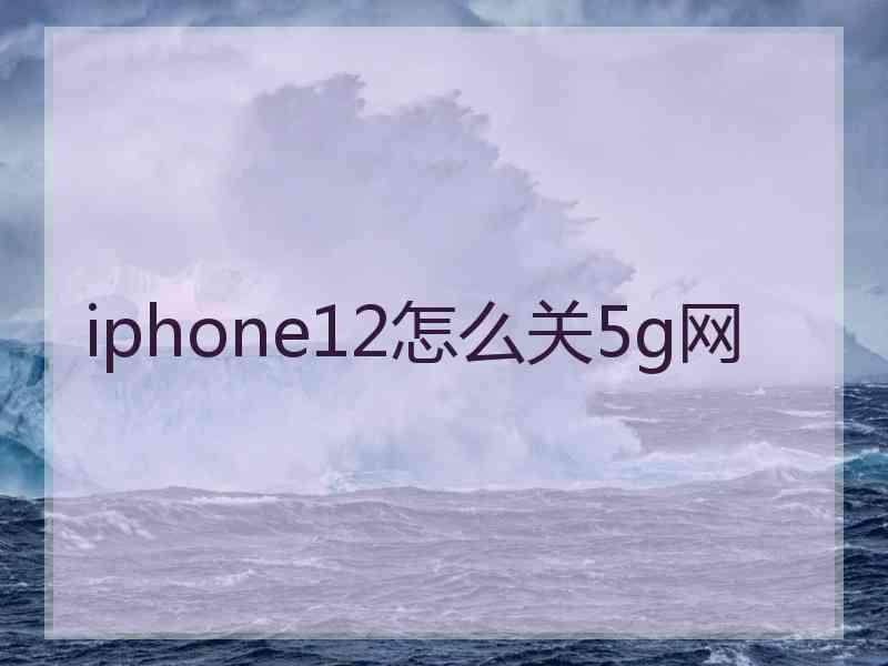 iphone12怎么关5g网