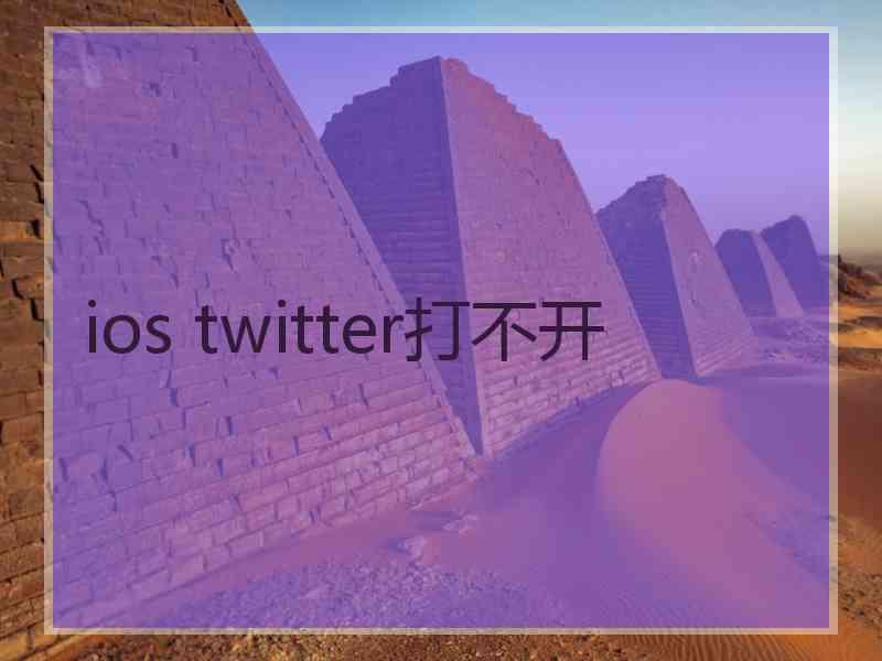 ios twitter打不开