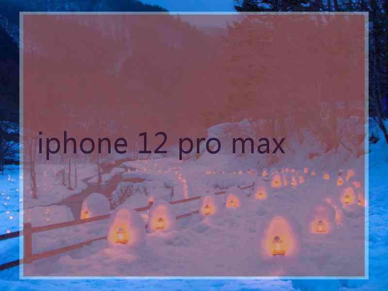iphone 12 pro max