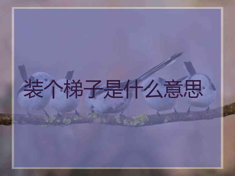 装个梯子是什么意思