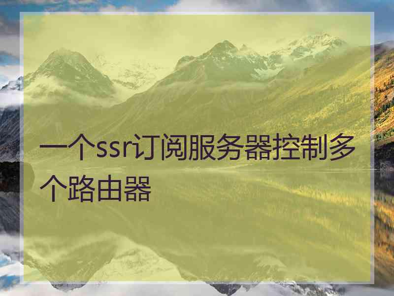 一个ssr订阅服务器控制多个路由器