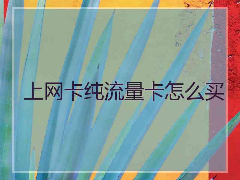 上网卡纯流量卡怎么买