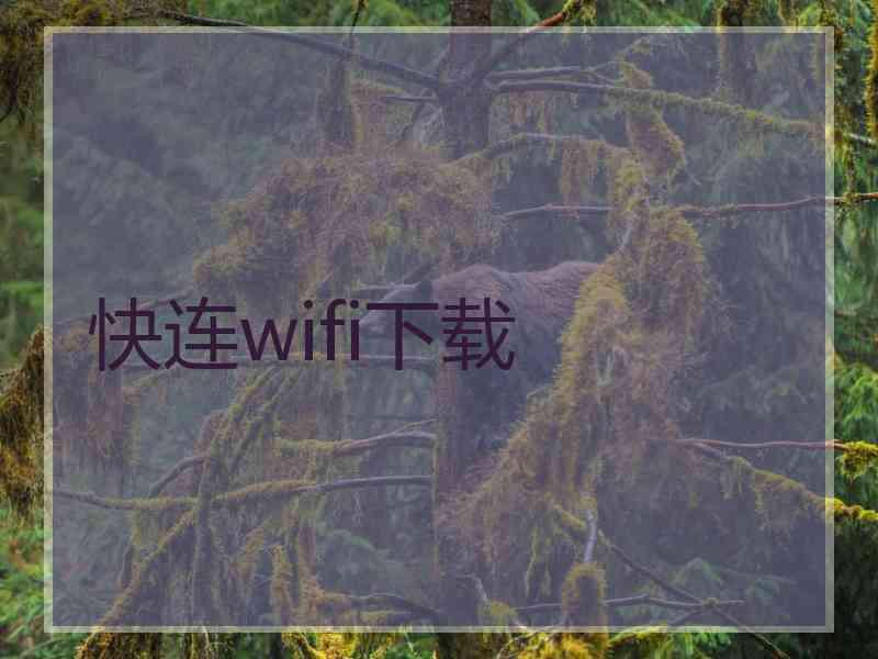 快连wifi下载