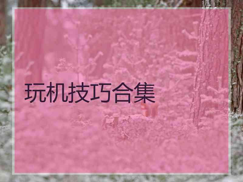 玩机技巧合集