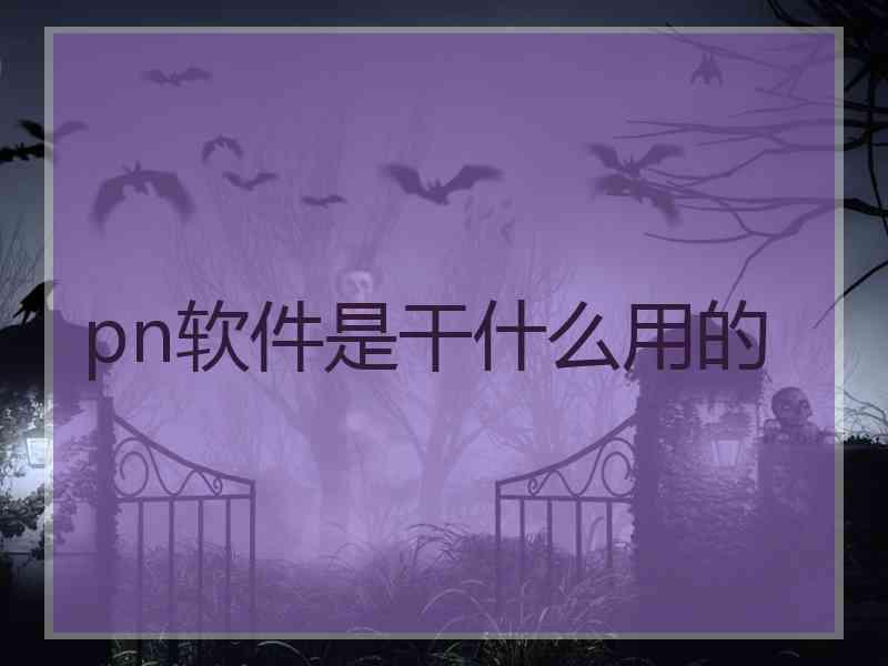 pn软件是干什么用的