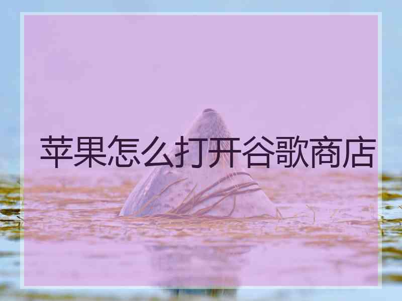 苹果怎么打开谷歌商店