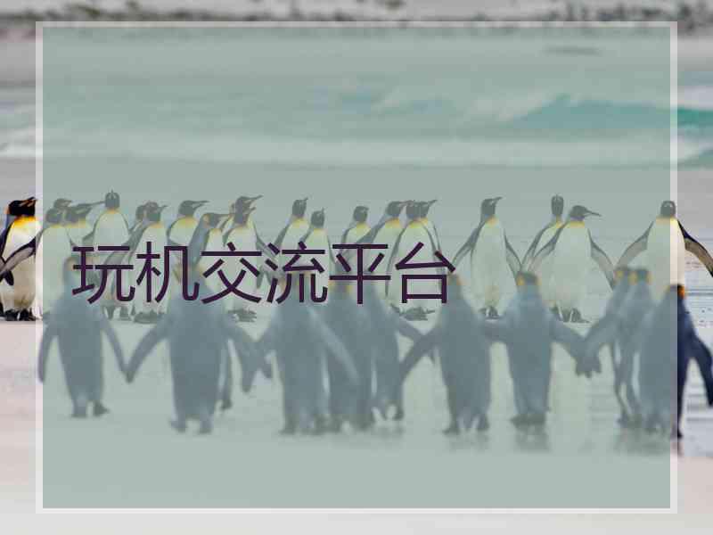 玩机交流平台