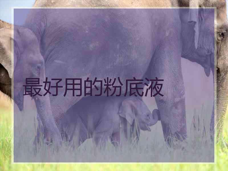 最好用的粉底液