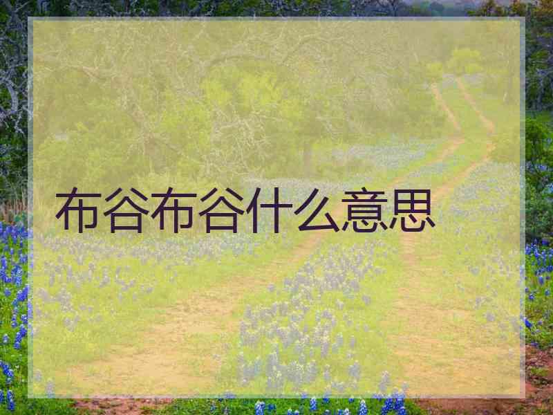 布谷布谷什么意思