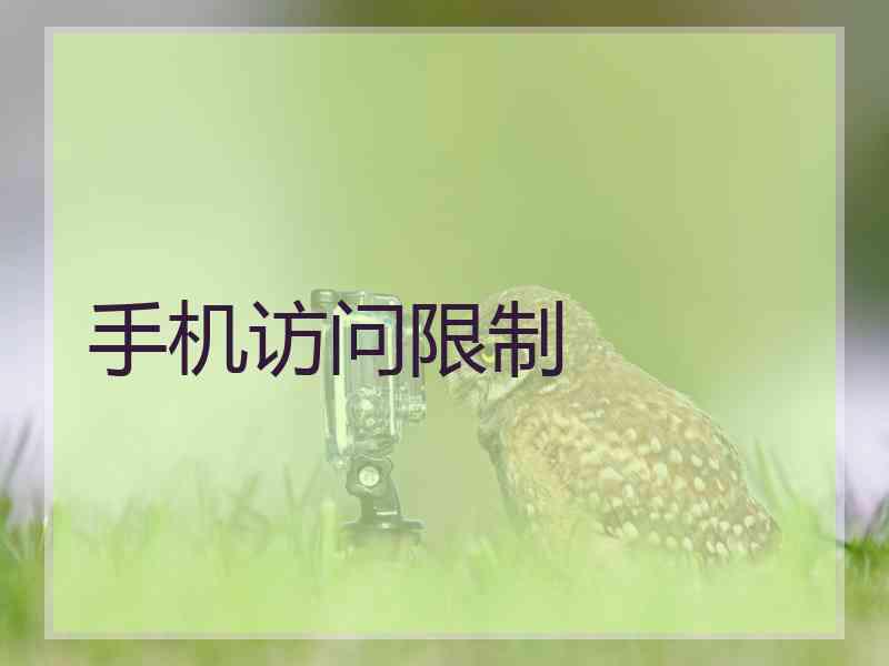 手机访问限制