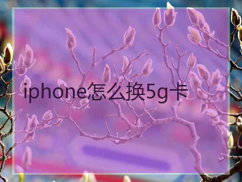 iphone怎么换5g卡