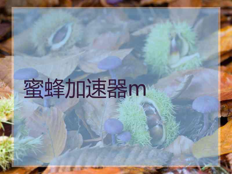 蜜蜂加速器m