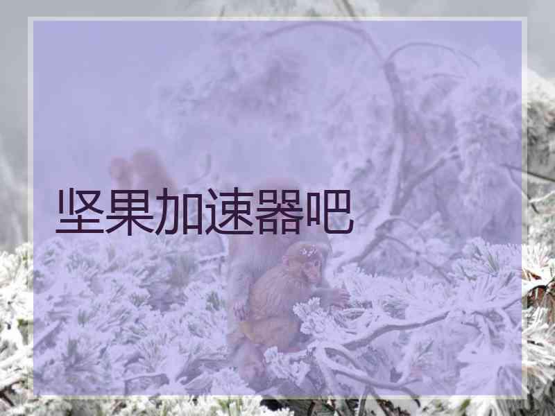 坚果加速器吧