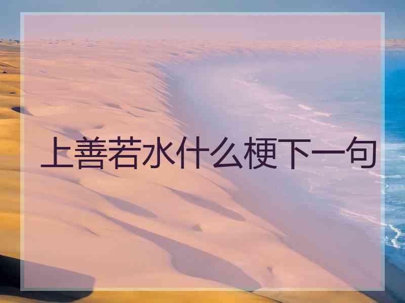上善若水什么梗下一句