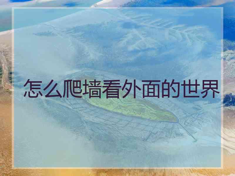 怎么爬墙看外面的世界