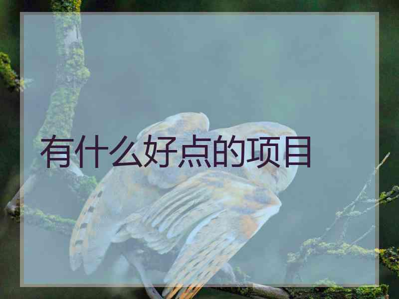 有什么好点的项目