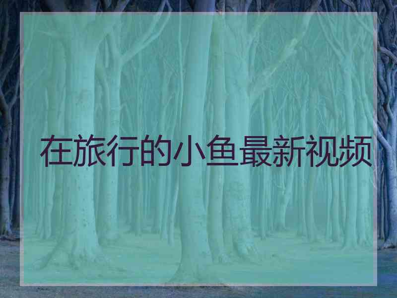 在旅行的小鱼最新视频
