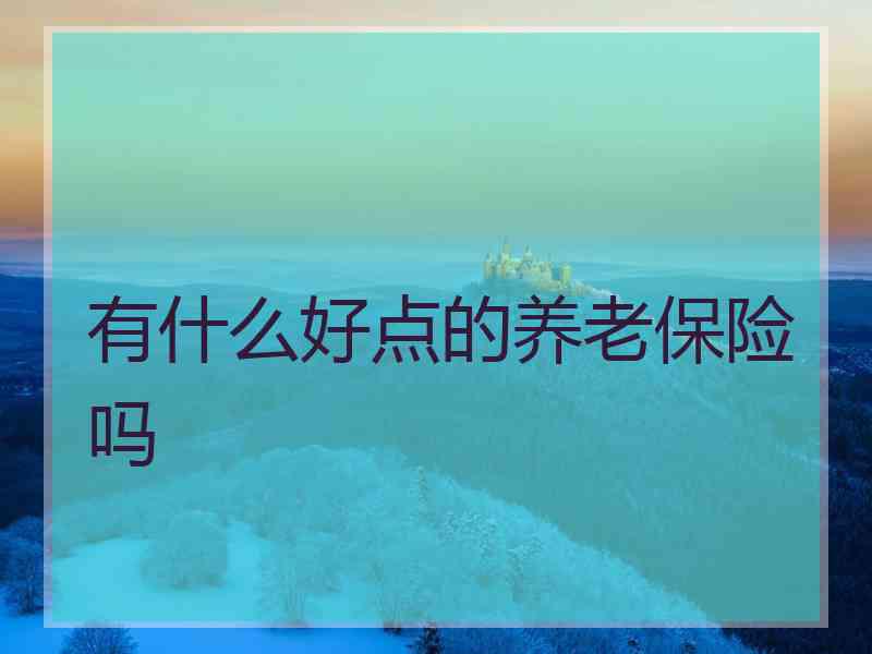 有什么好点的养老保险吗