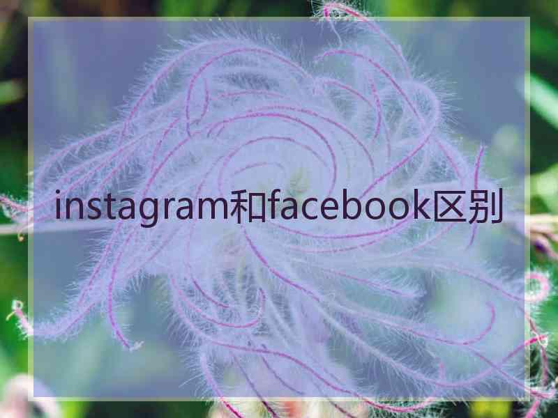 instagram和facebook区别
