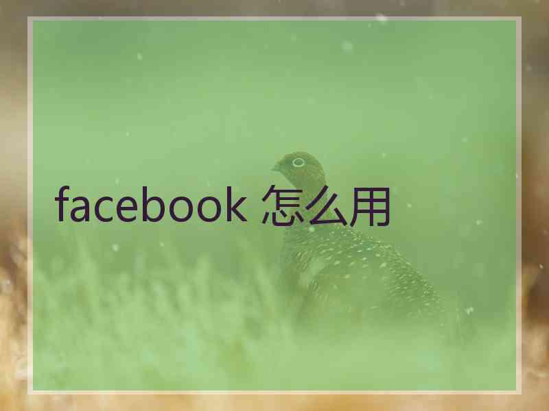 facebook 怎么用
