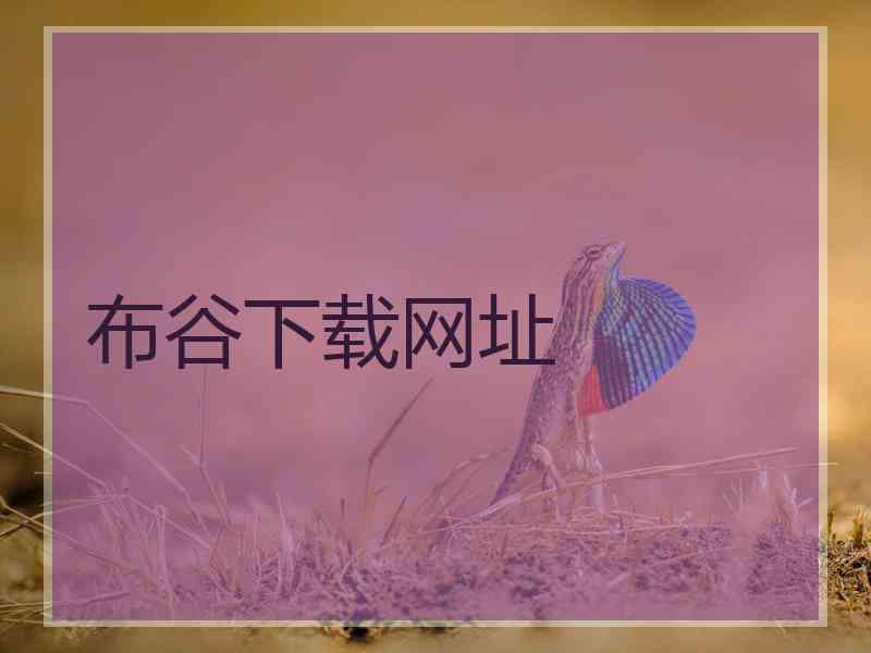 布谷下载网址