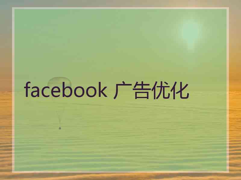facebook 广告优化