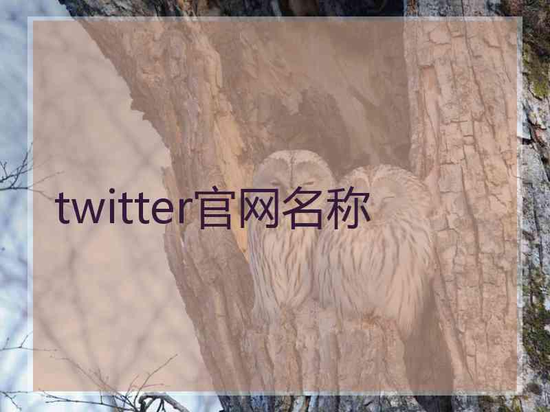 twitter官网名称