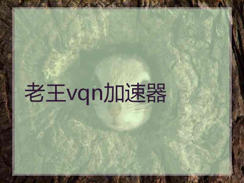 老王vqn加速器