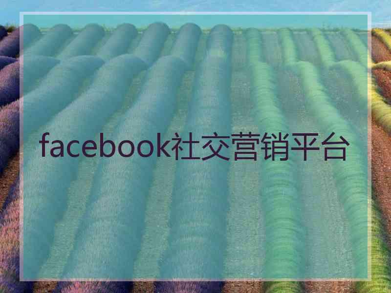 facebook社交营销平台
