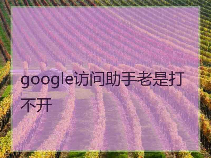google访问助手老是打不开