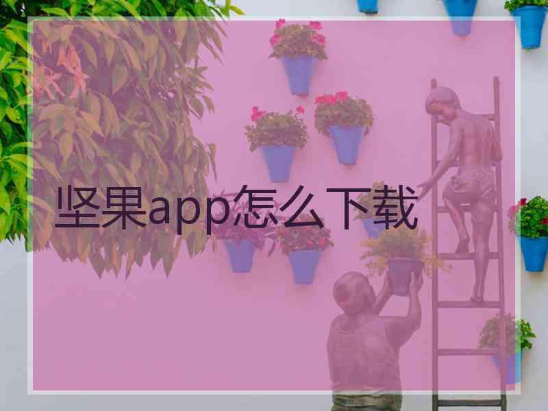 坚果app怎么下载