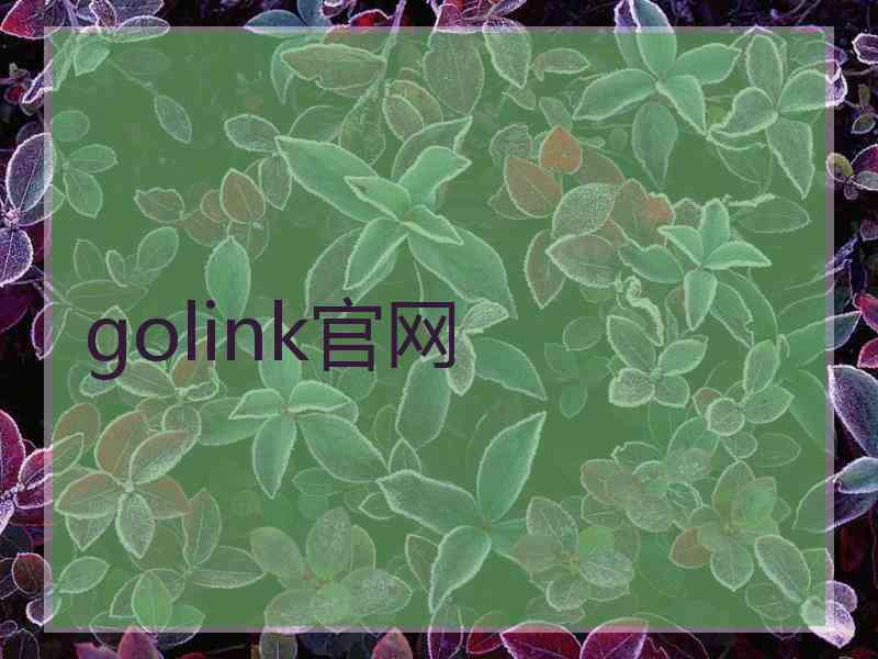 golink官网