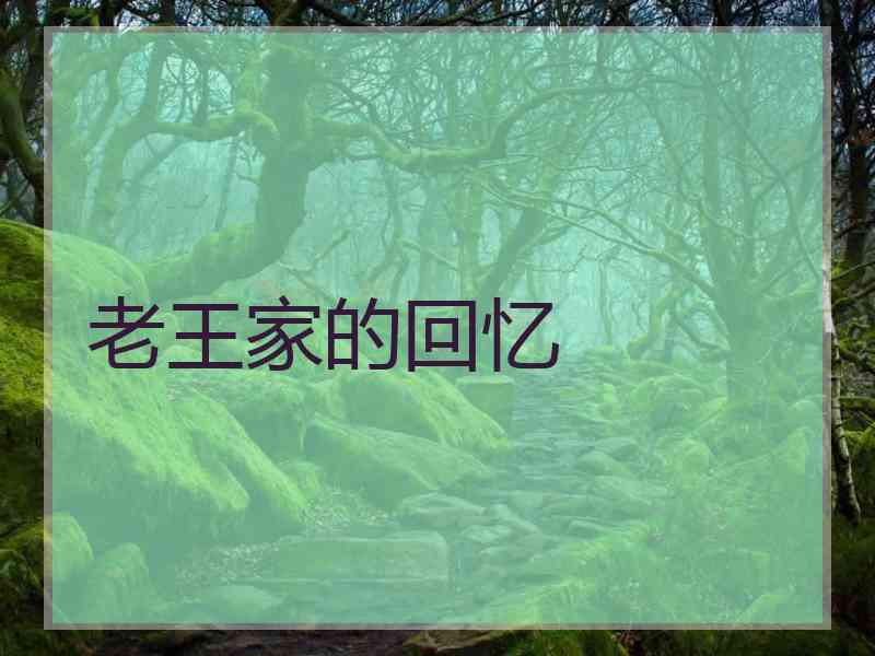 老王家的回忆