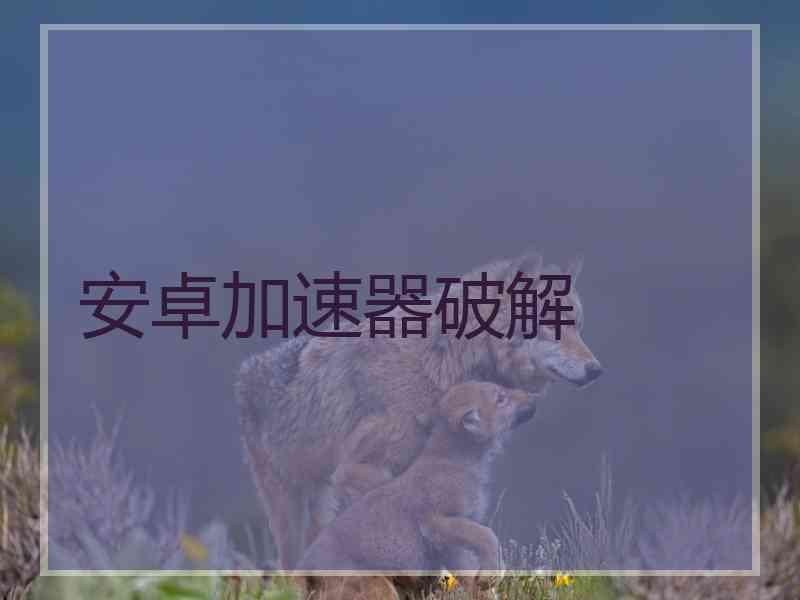 安卓加速器破解