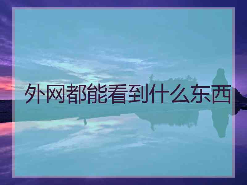 外网都能看到什么东西