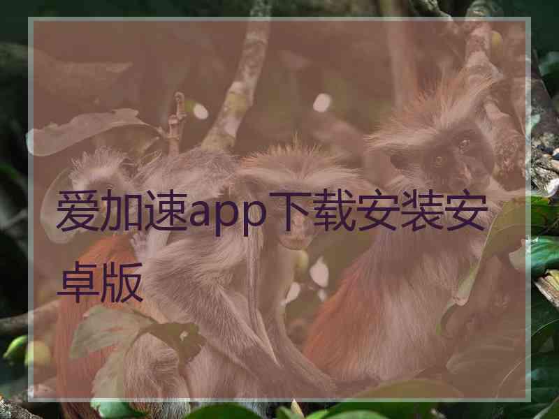 爱加速app下载安装安卓版